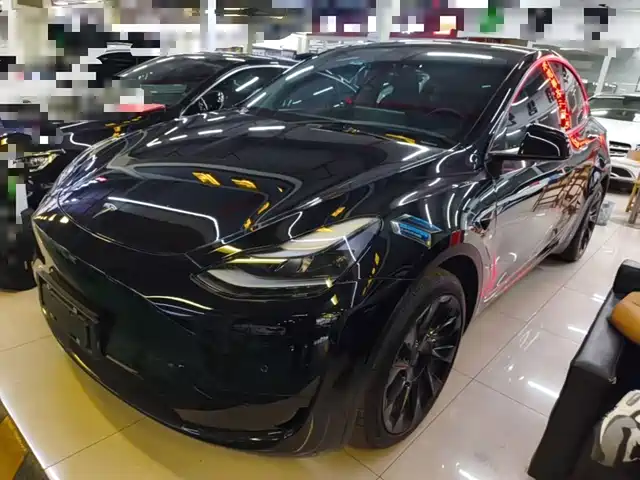 Tesla Model Y Задний привод