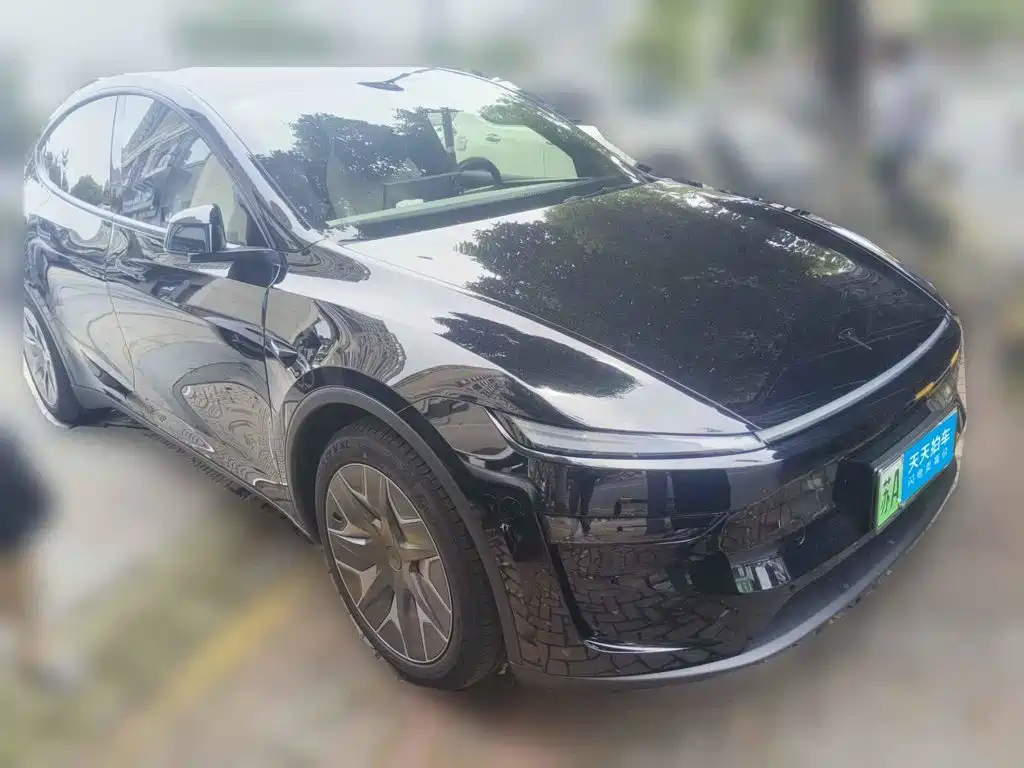 Tesla Model Y L