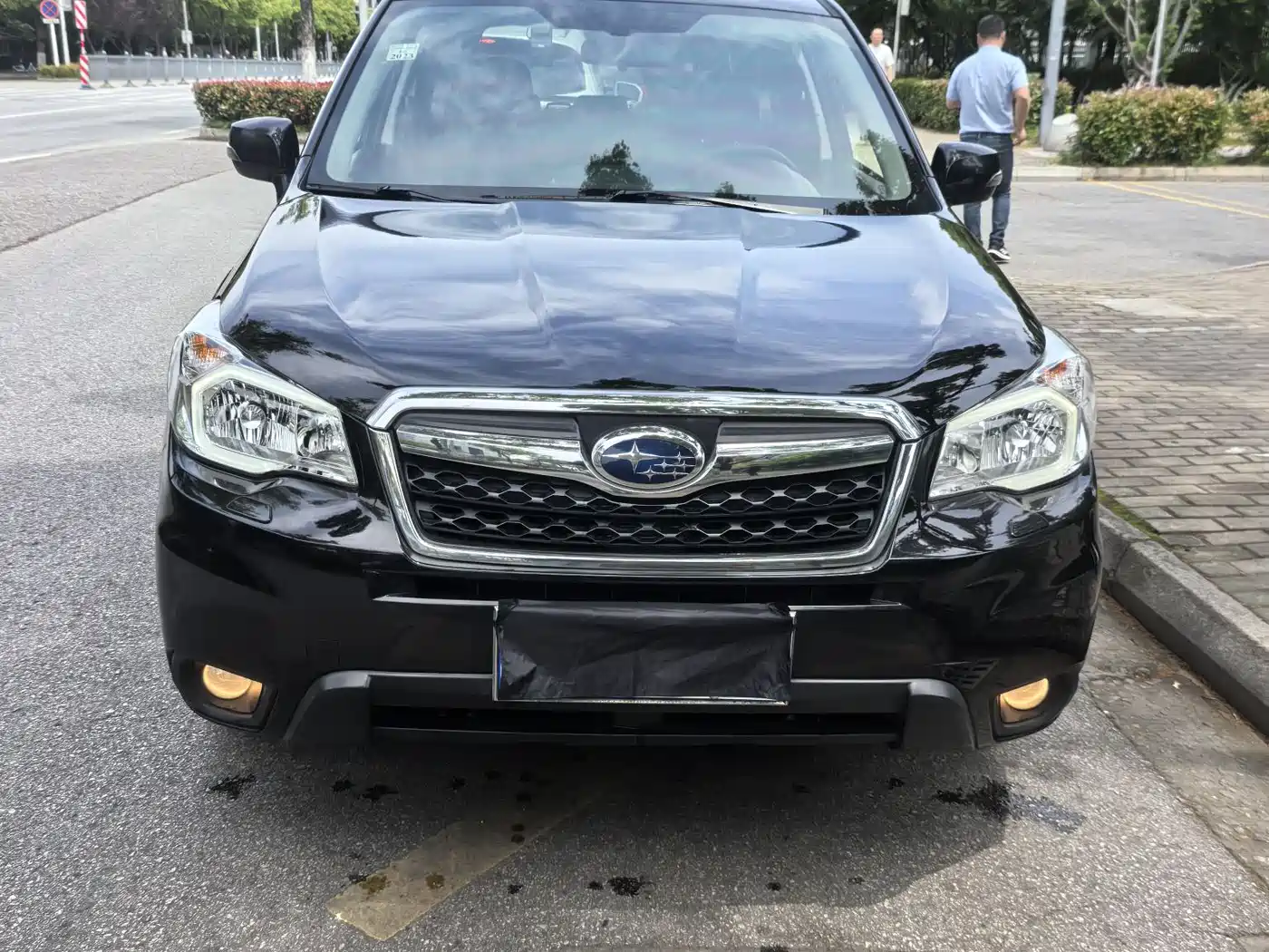 Subaru Forester 2013 2.5i Automatic Luxury Edition фото 2