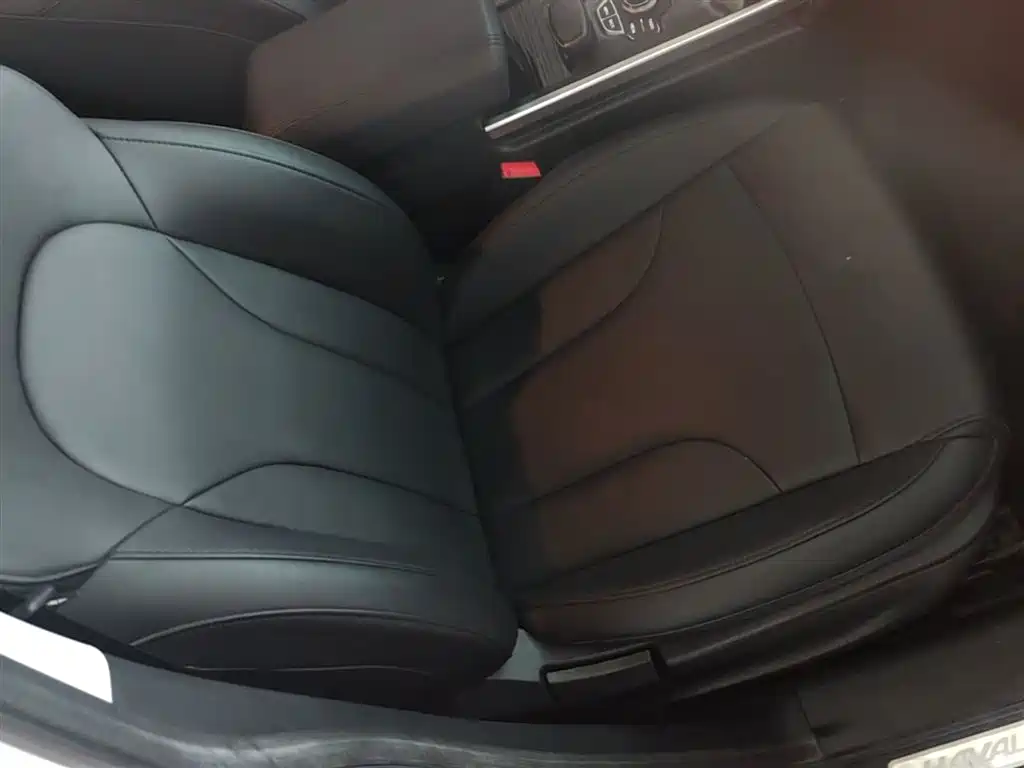 Haval H6 2018 Blue Label Sport 1.5T Manual 2WD Elite фото 25