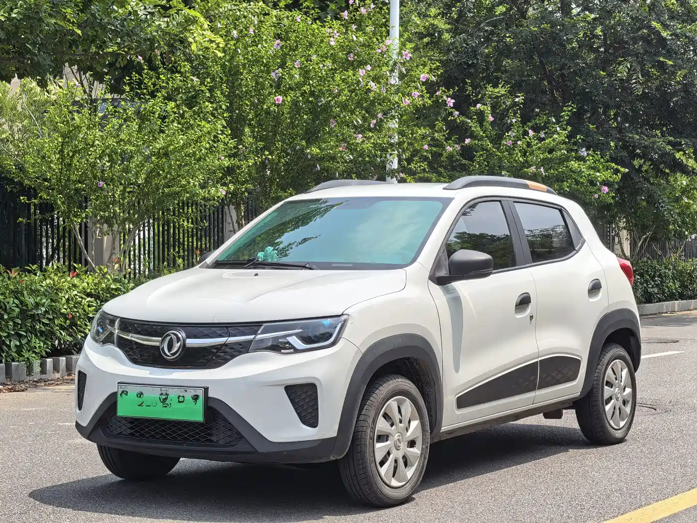 Dongfeng Yipai Dongfeng Nano EX1 2021 2022 PRO Joy Star Edition