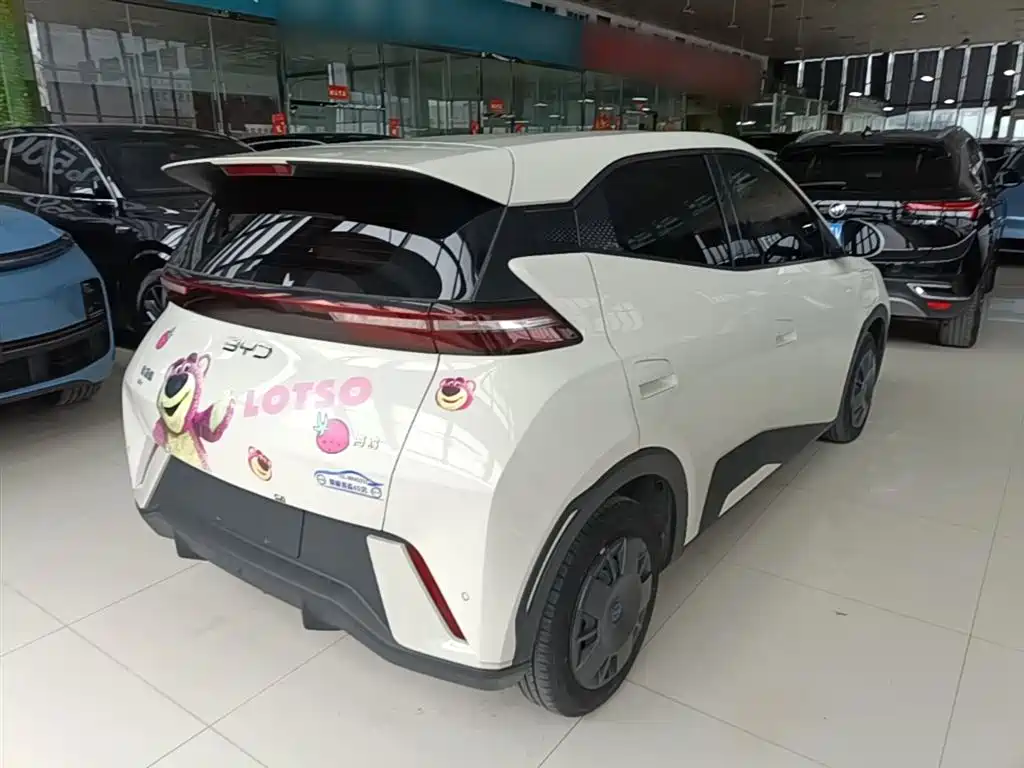 BYD Seagull 2025 305km Vitality фото 5