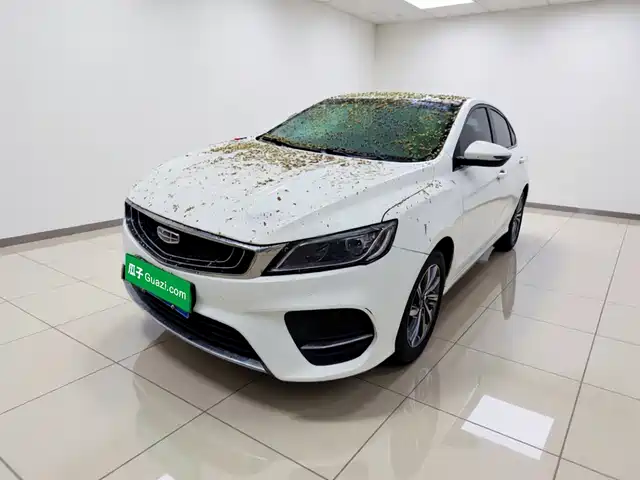 Geely Binrui 2020