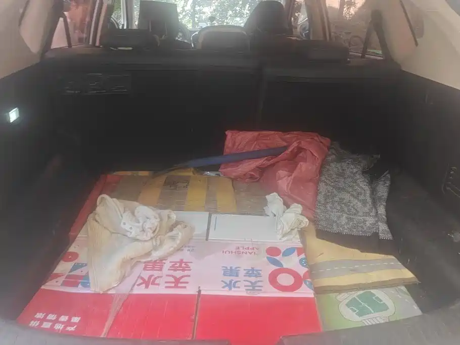 2017 Baojun 560