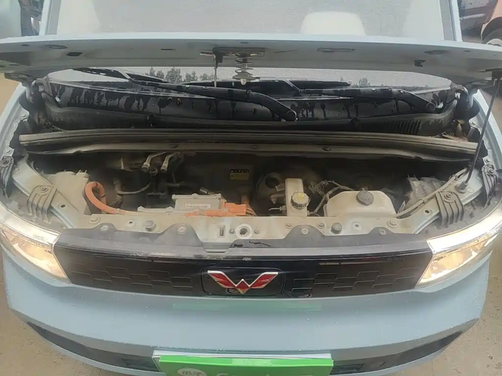 Фото 20 - Wuling Motors Hongguang MINIEV