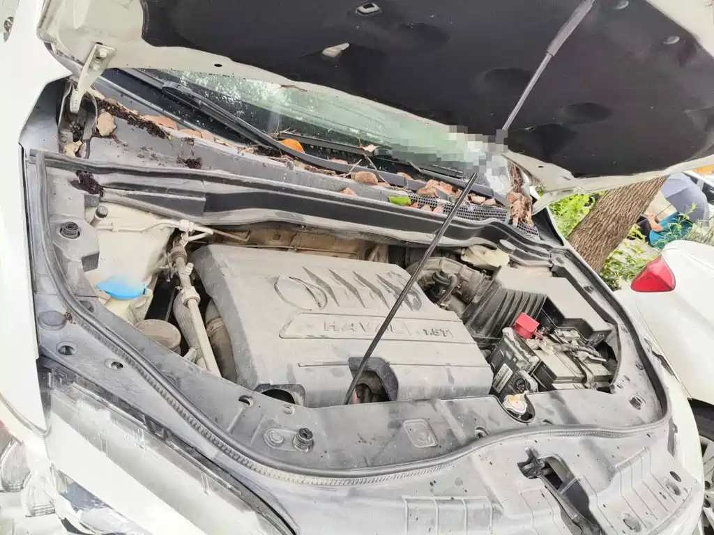 Photo 3 - Haval H6