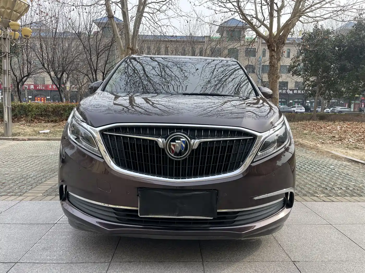 Buick GL8 2017 ES 28T Flagship China V фото 2