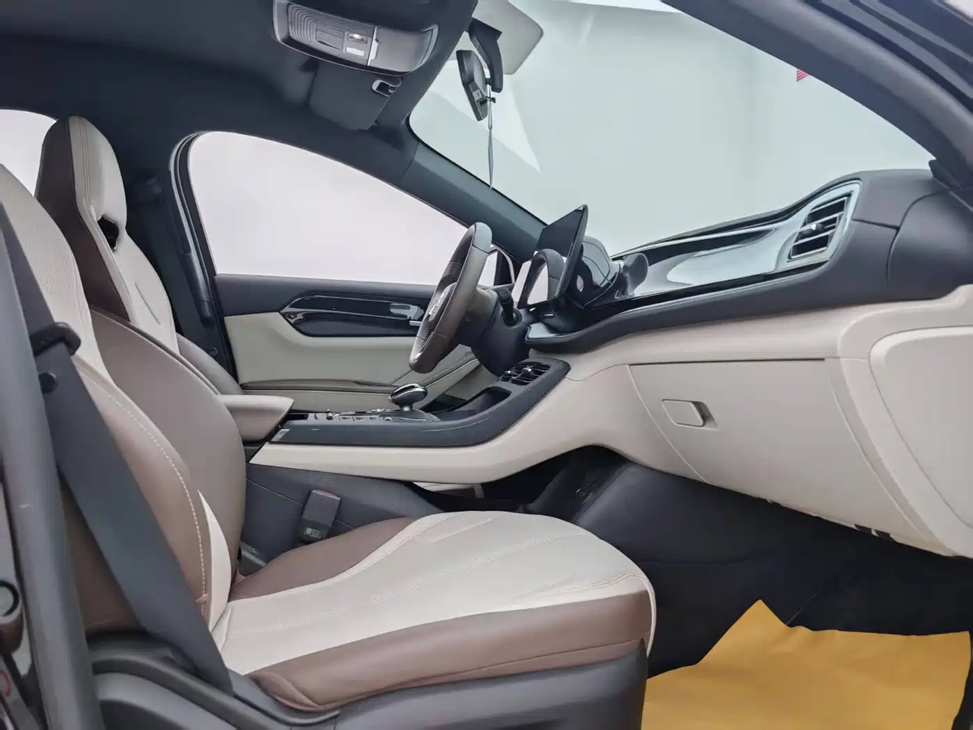 BYD Qin PLUS 2024 Glory Edition DM-i 55KM Leading фото 19
