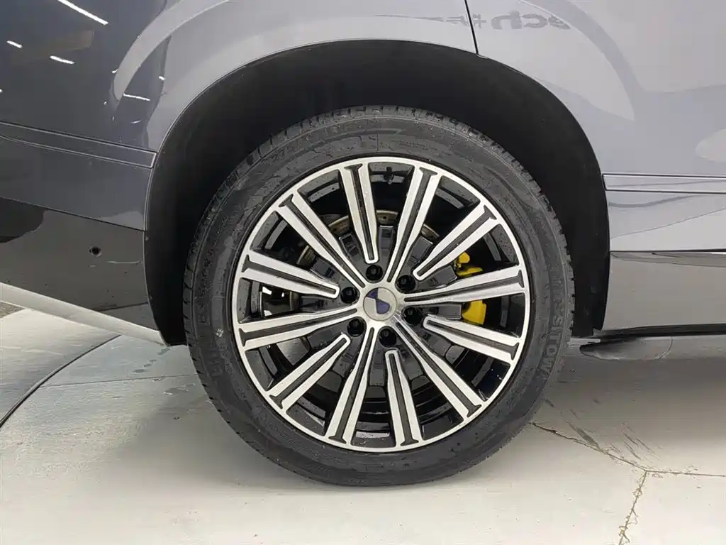 Denza N9 2025 Model Prestige Edition фото 11