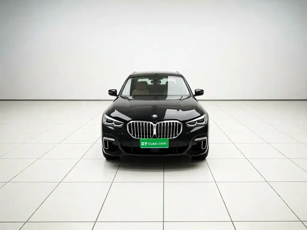 BMW X5 2022 2022 xDrive 30Li M Sport Package
