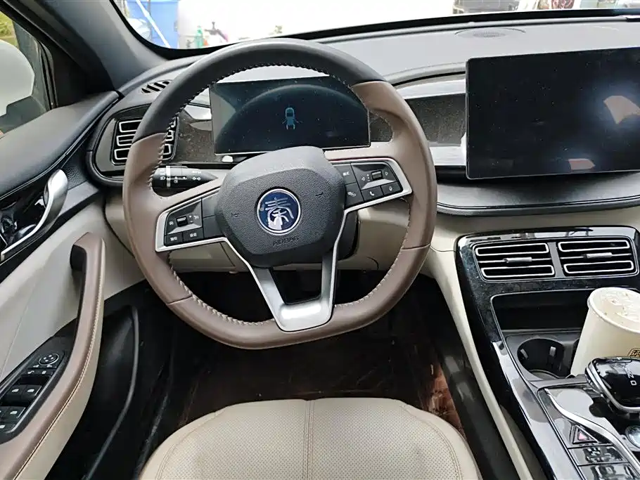 BYD Qin PLUS 2024 Glory Edition DM-i 55KM Leading фото 15