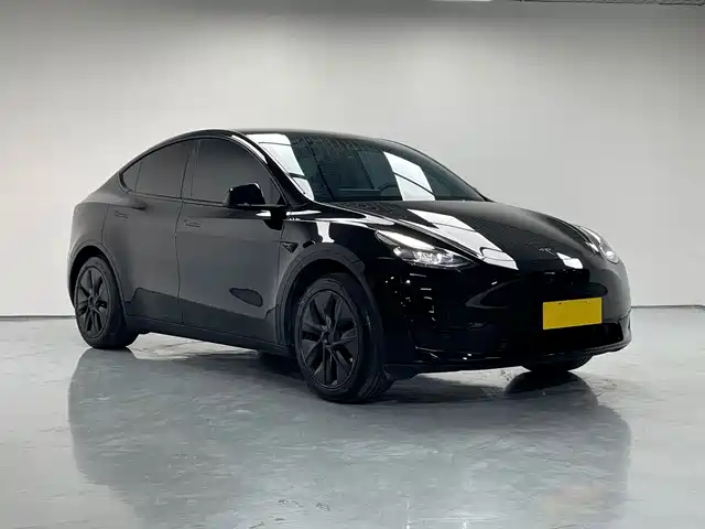 Tesla Model Y 2023 Rear-Wheel Drive Edition — фото 3