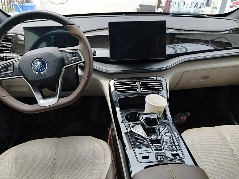 BYD Qin PLUS 2024 Glory Edition DM-i 55KM Leading фото 12