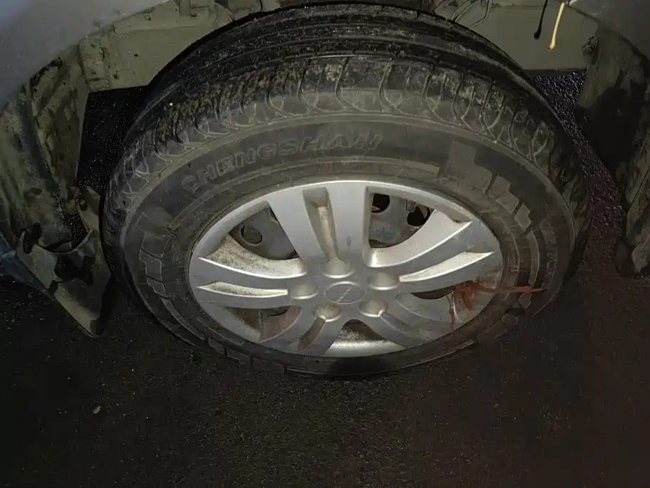 صورة 6 - Dongfeng Fengxing Lingzhi