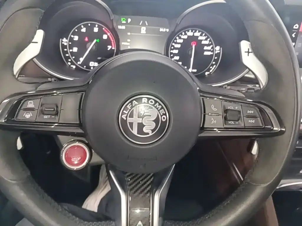 Alfa Romeo Stelvio 2021 2020 2.0T 280HP Luxury Edition