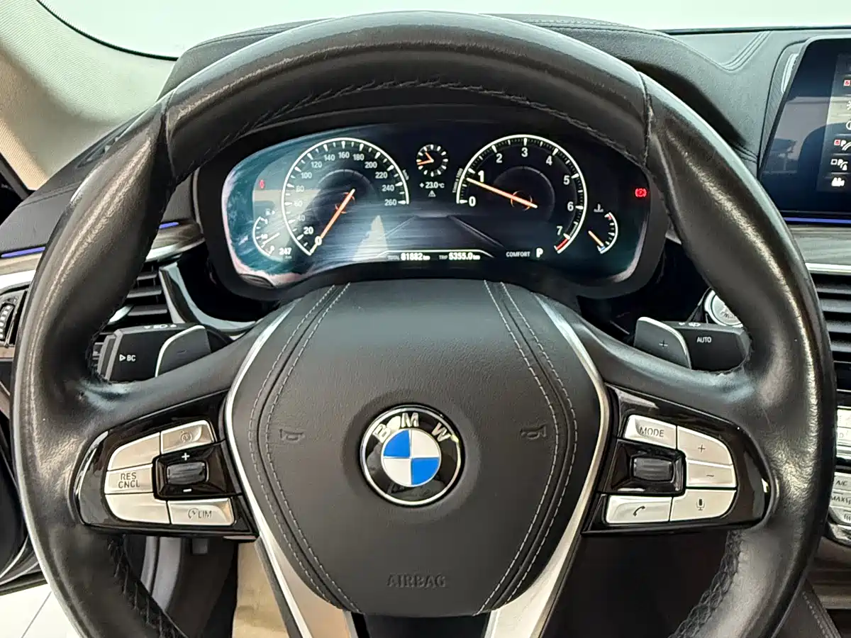 BMW 5 Series 2019 530Li Leading Luxury Package фото 13