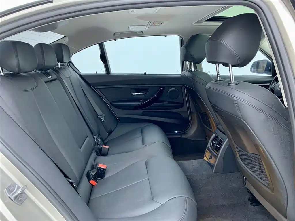 BMW 3 Series 2018 318Li фото 13