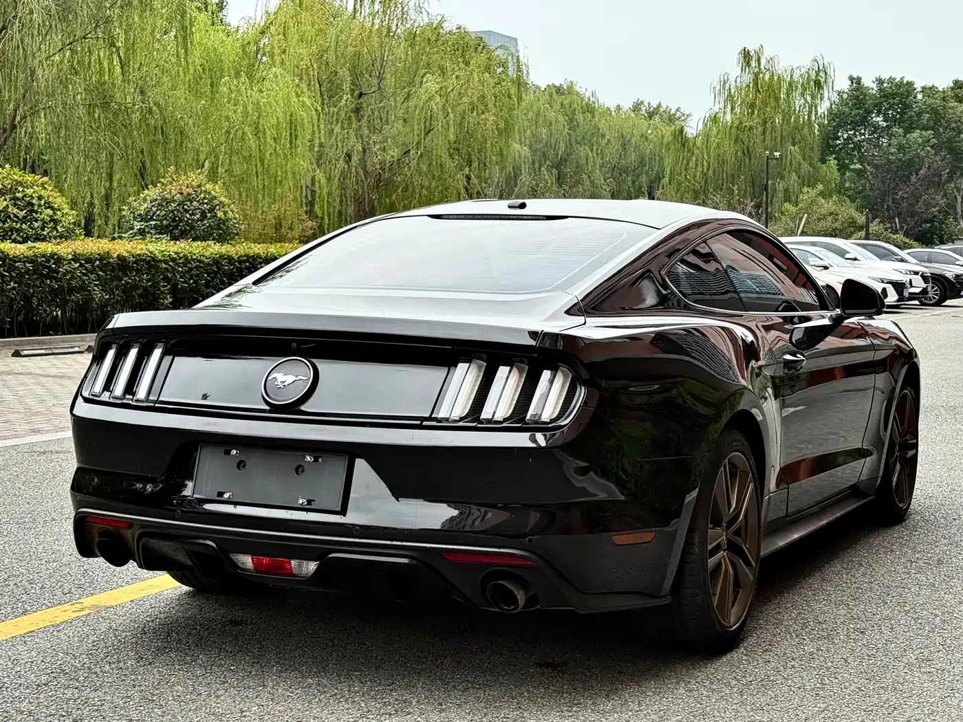 Ford Mustang 2017 2.3T Performance Edition фото 14