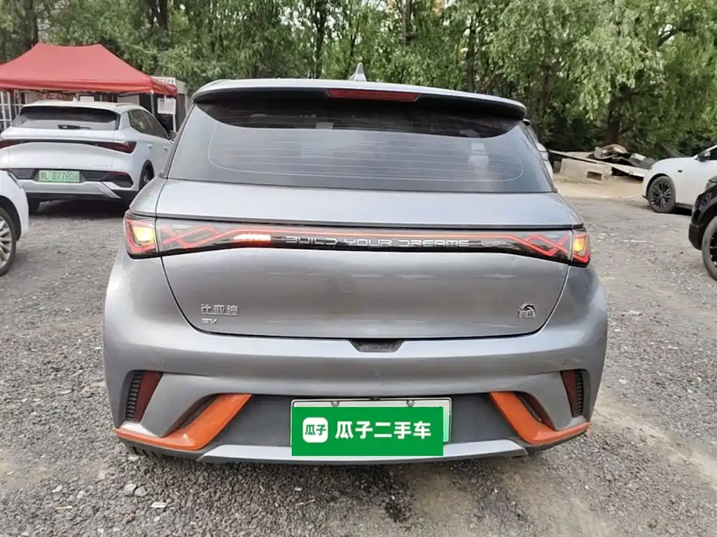 BYD Dolphin 2021 Model 405km Fashion Edition фото 6