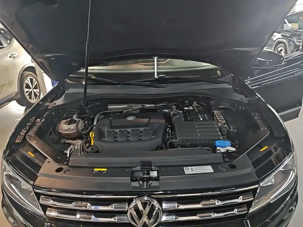 Volkswagen Tiguan L 2019 330TSI Auto 2WD Smart Luxury Edition China V фото 20