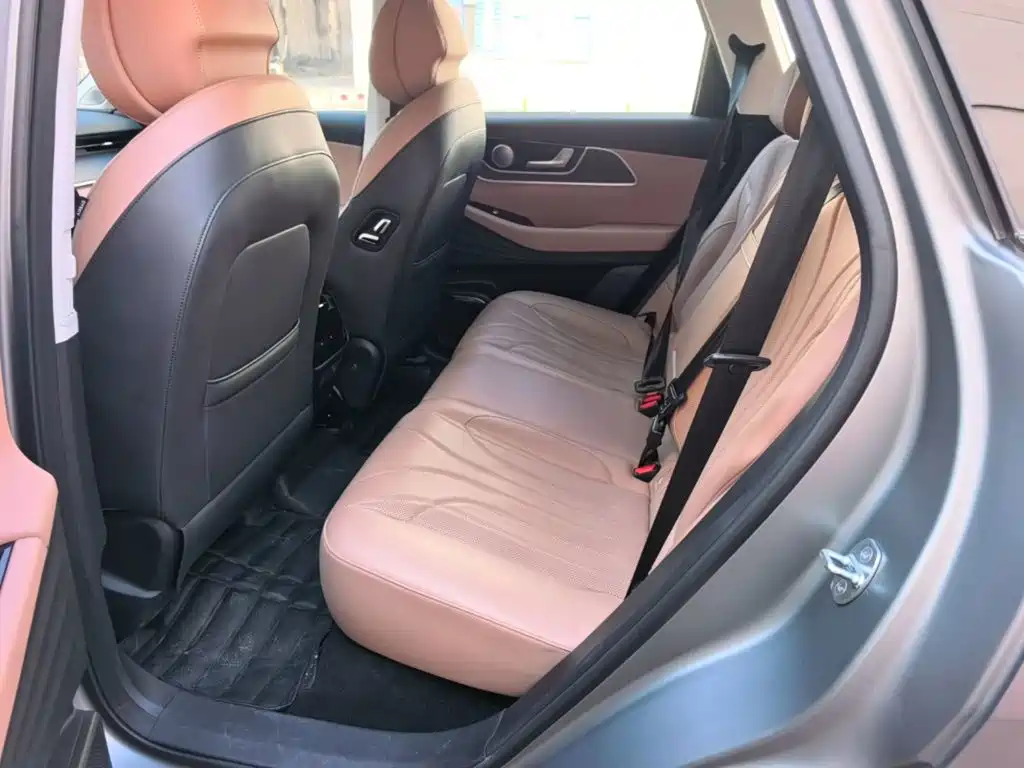 Chery Tiggo 8L 2024 2024 2.0T 2WD Premium 5-seater
