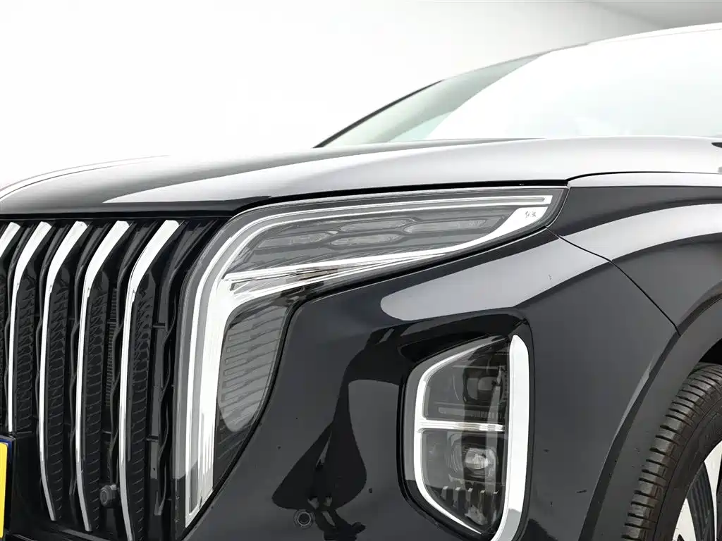 Hongqi HS7 2024 2.0T Automatic AWD Qixiang Edition 7-seater фото 10