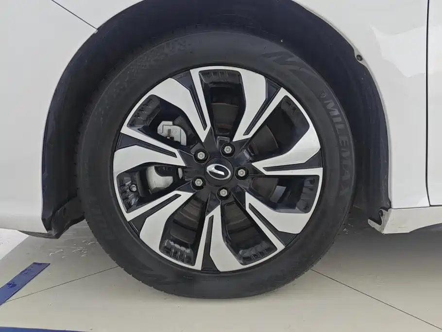 Aion S 2020 2019 Charm Evo 530