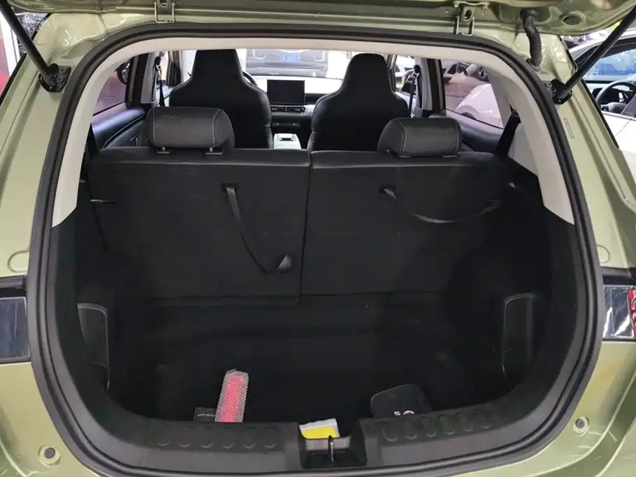 Фото 4 - Wuling Motors Wuling Binguo PLUS