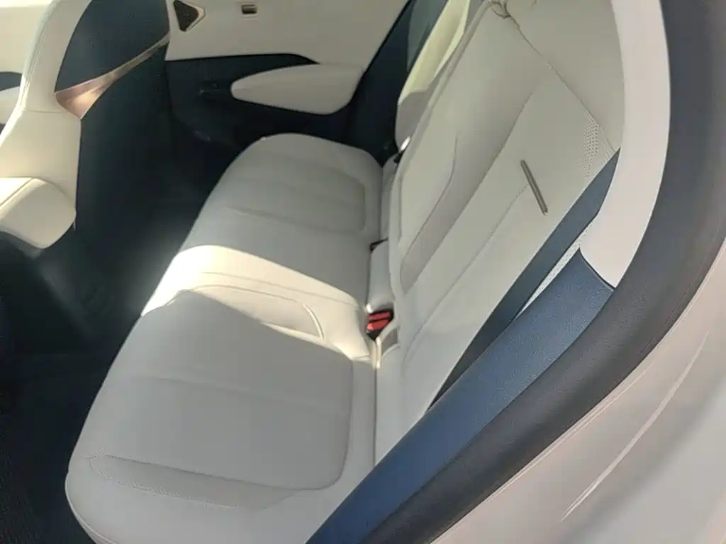 ZEEKR X 2024 2025 5-Seater Long Range Edition