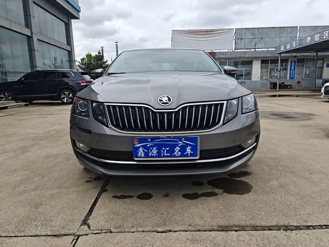 Škoda Octavia 2019 TSI230 DSG Luxury Edition фото 2