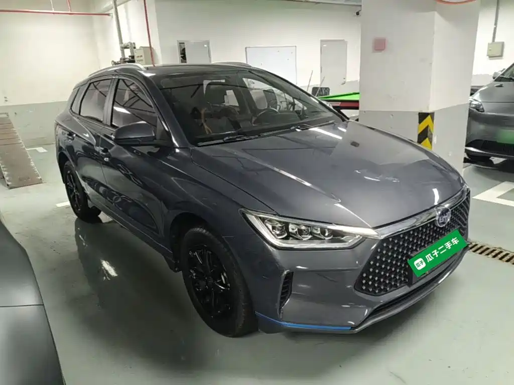 BYD e2 2021 2020 Upgraded Long Range Luxury