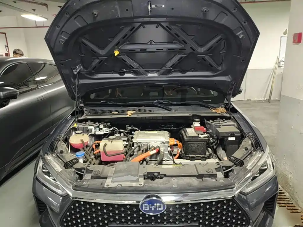 BYD e2 2021 2020 Upgraded Long Range Luxury