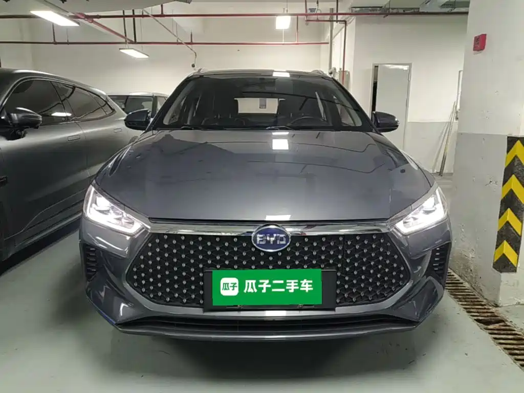 BYD e2 2021 2020 Upgraded Long Range Luxury