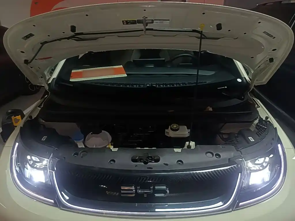 Photo 20 - BYD Dolphin