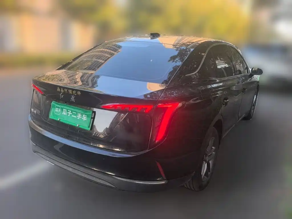 Photo 6 - Hongqi E-QM5