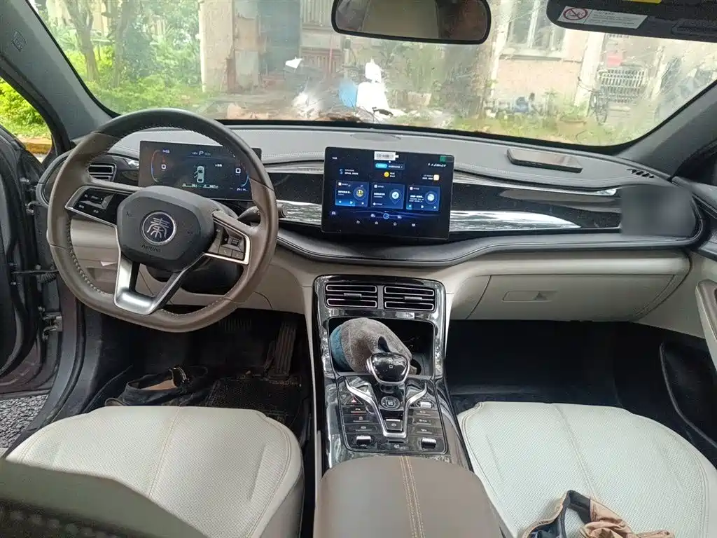 BYD Qin PLUS 2023 Champion Edition DM-i 55KM Leading фото 10