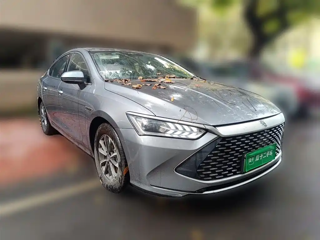 BYD Qin PLUS 2023 Champion Edition DM-i 55KM Leading фото 3