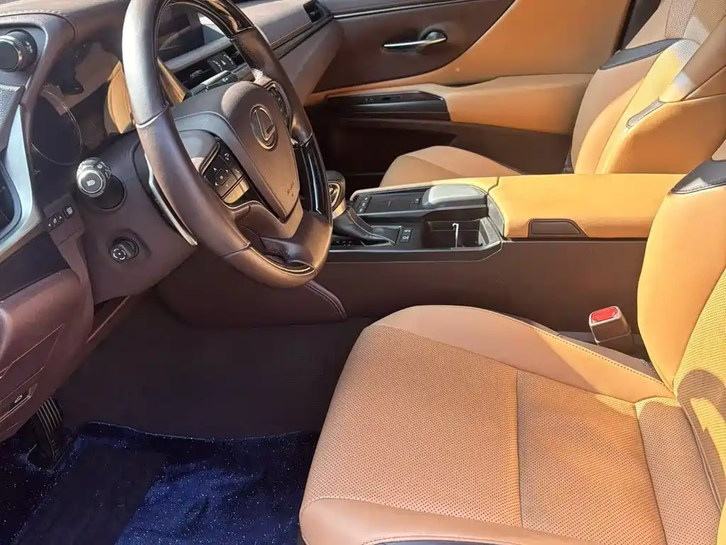 Lexus ES 2018 200 Luxury Edition China V фото 6