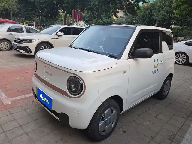 Geely Galaxy Panda 2023