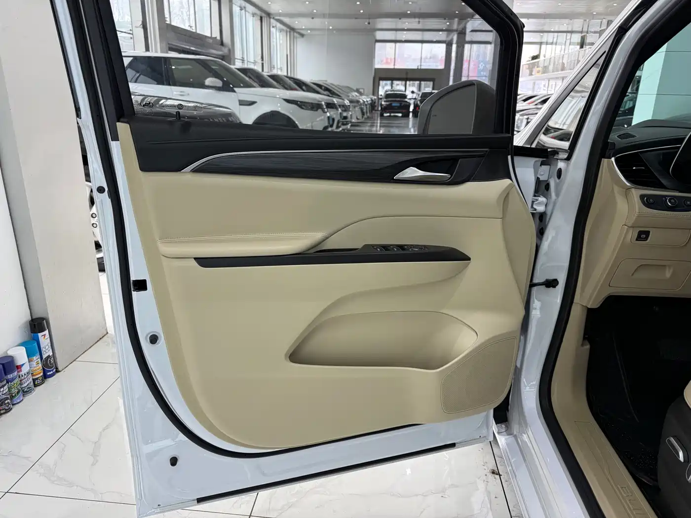 Buick GL8 2022 ES Landmark 653T Luxury фото 5