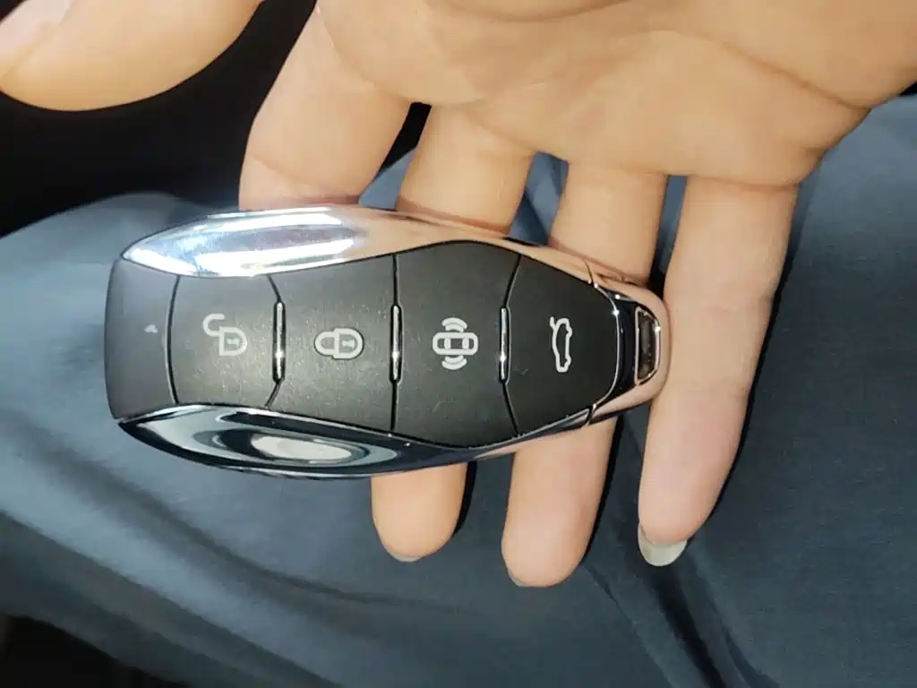 Фото 9 - Hongqi HS5