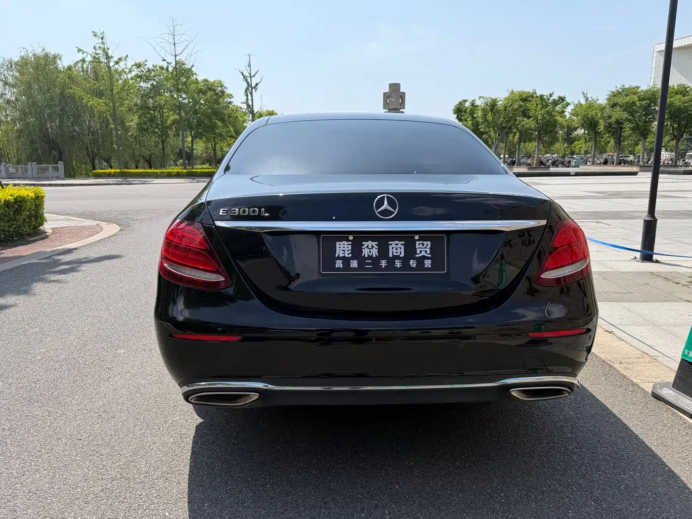 Mercedes-Benz E-Class 2016 E 300 L Fashion Type фото 5