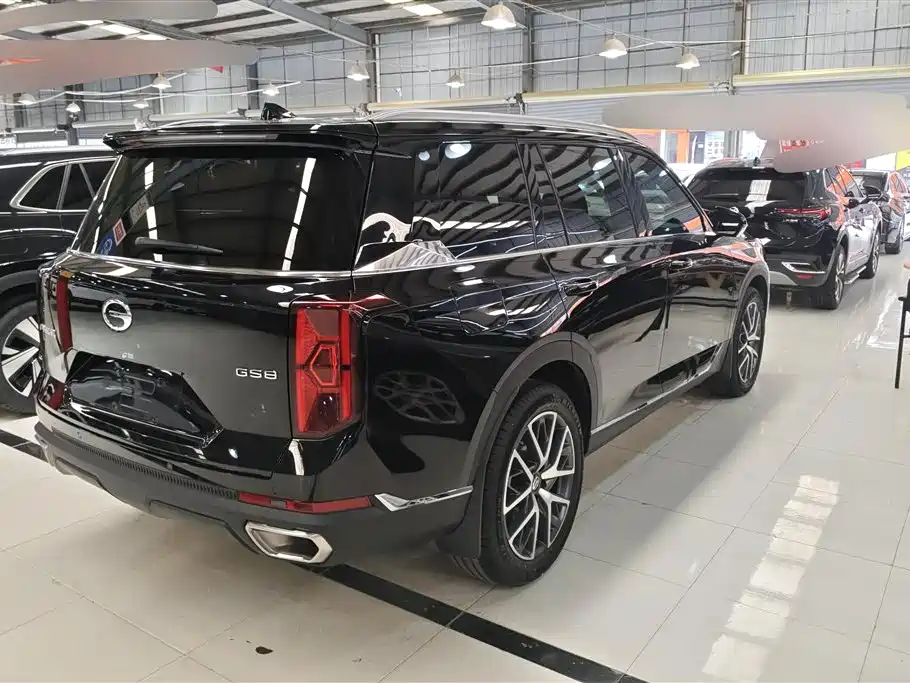 GAC Trumpchi Trumpchi GS8 2022 Pilot Series 2.0TGDI 2WD Luxury Smart Connect Edition (7-Seater) фото 3