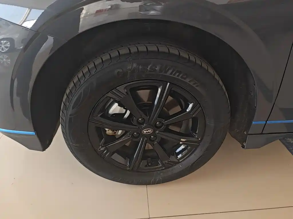 BYD e2 2021 2021 Luxury Edition