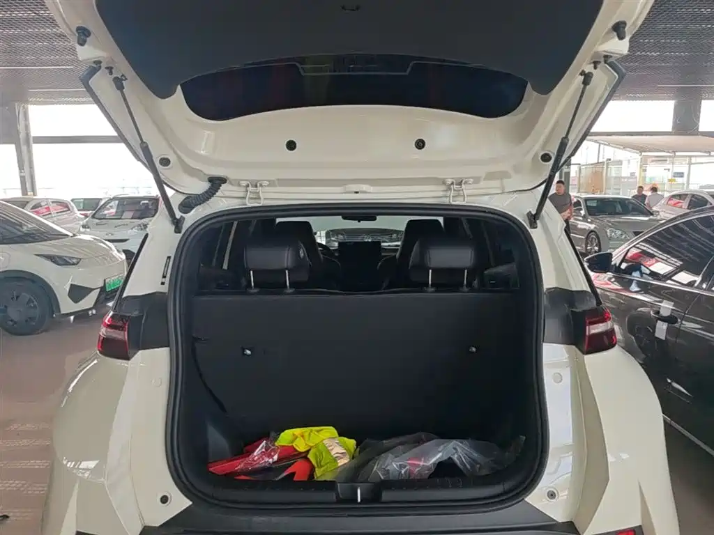 BYD Seagull 2025 Smart Drive Edition 305km Freedom Version фото 15