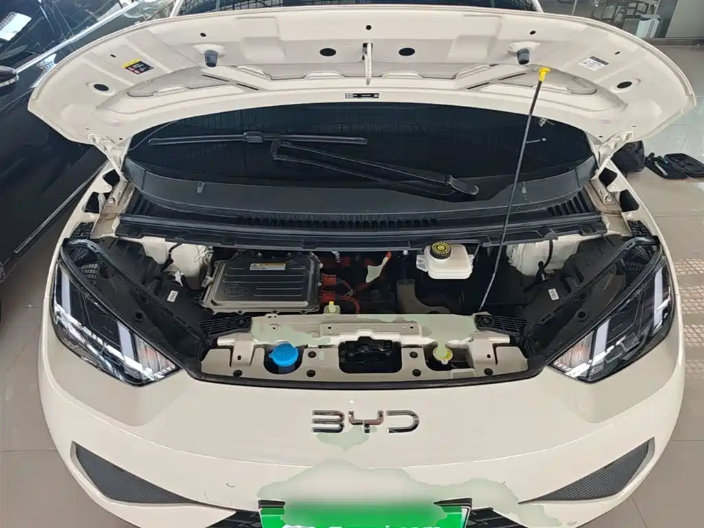 BYD Seagull 2025 Smart Drive Edition 305km Freedom Version фото 16