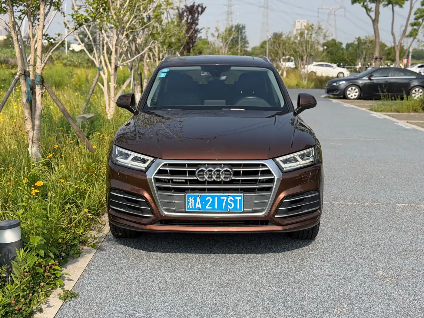 Audi Q5L 2018 45 TFSI Exclusive Fashion (China V) фото 2