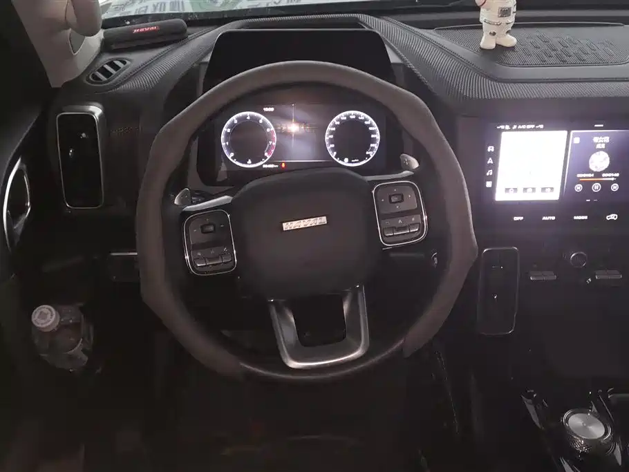 Haval Big Dog 2021 1.5T DCT 2WD Border Collie - Wangcai Edition фото 15