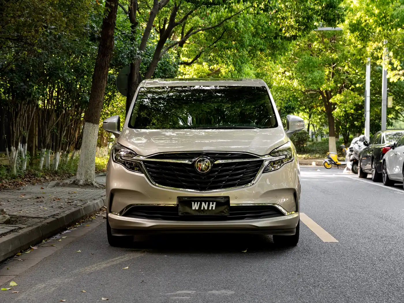Buick GL8 2021 ES Landlord 653T Flagship фото 2