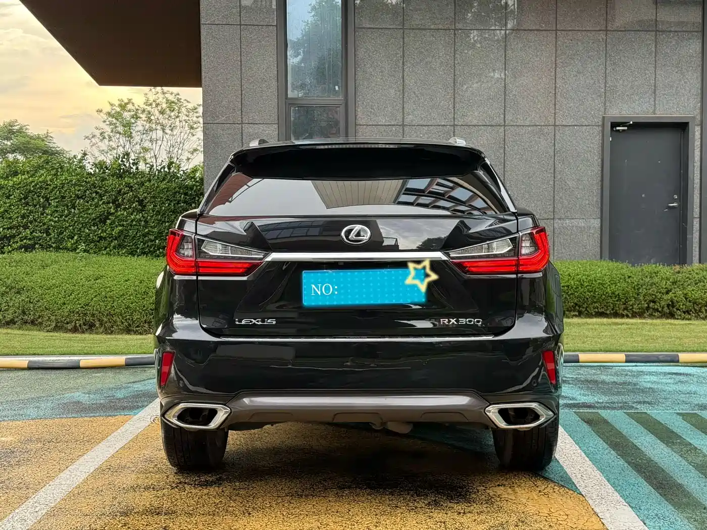Lexus RX 2016 2016 300 4WD Elegance Edition (China V)